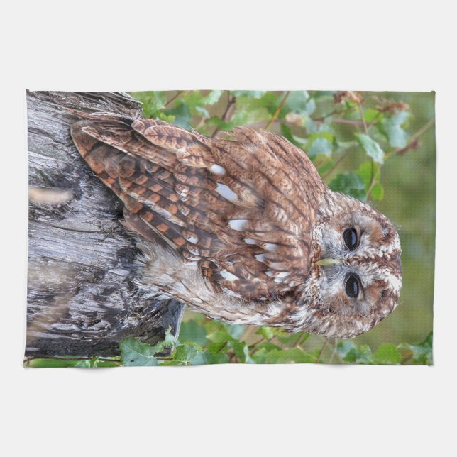 Linge De Cuisine photographie de hibou (Horizontal)