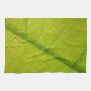 Linge De Cuisine Photographie de la nature botanique de la feuille