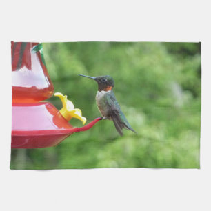 Linge De Cuisine Photographie d'oiseau Colibri à gorge rubis