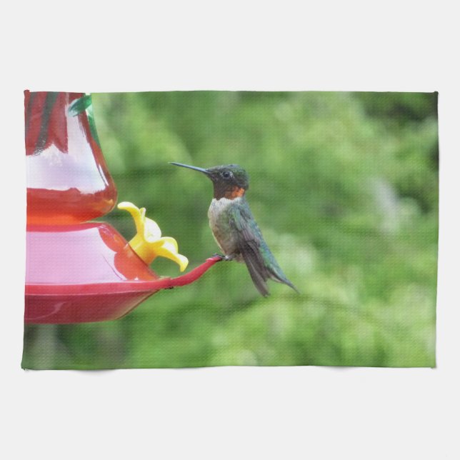 Linge De Cuisine Photographie d'oiseau de colibri à gorge rubis (Horizontal)