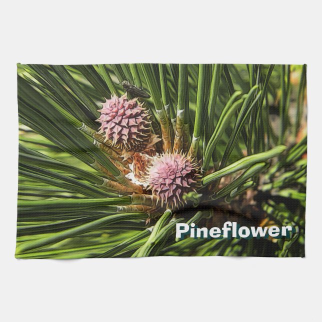Linge De Cuisine Pinefer (Horizontal)