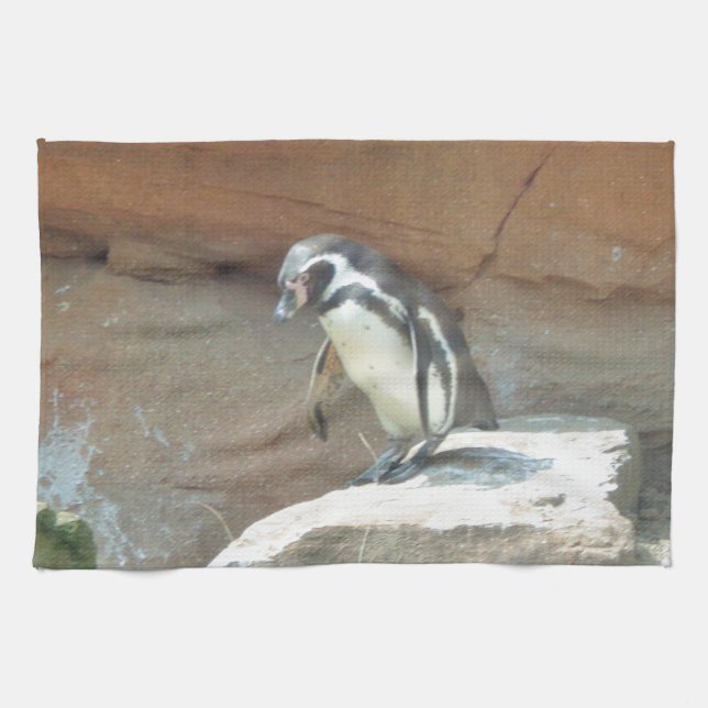 Linge De Cuisine Pingouin, Faune, Animal, Oiseau sauvage, Zoo, Été (Horizontal)