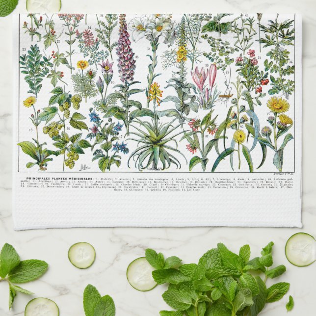 Linge De Cuisine Plantes médicinaux et fleurs par Adolphe Millot (Plié)