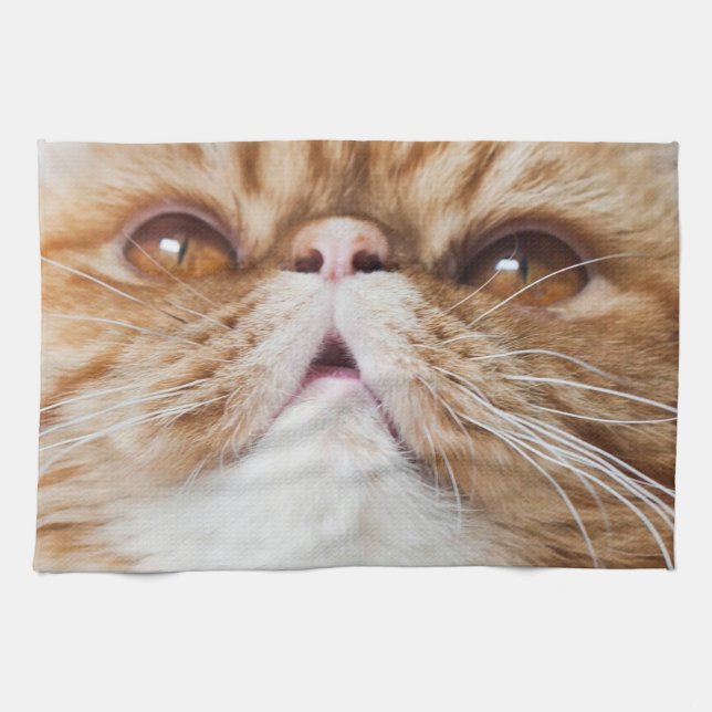 Linge De Cuisine Plats secs du DA ! (Horizontal)