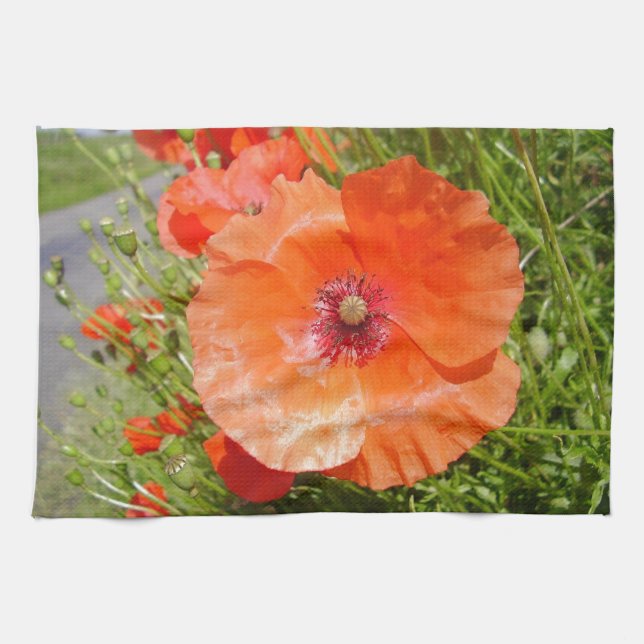 Linge De Cuisine Poppies - Coquelicots (Horizontal)