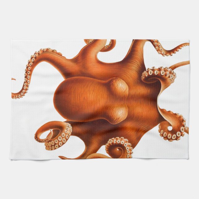 Linge De Cuisine Poulpe orange déplaisant (Horizontal)