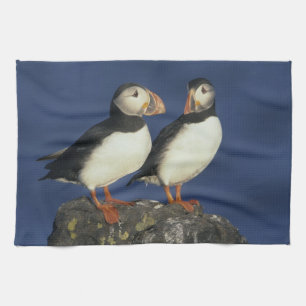 Linge De Cuisine Puffin de l'Atlantique