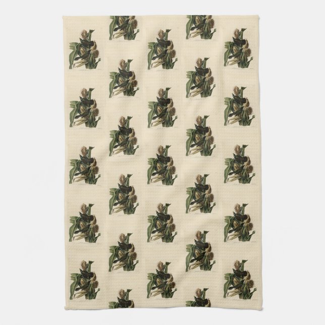 Linge De Cuisine Purple Grakle (Grackle) Audubon's Birds of America (Vertical)