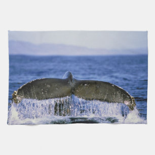 Linge De Cuisine Queue de baleine à bosse.
