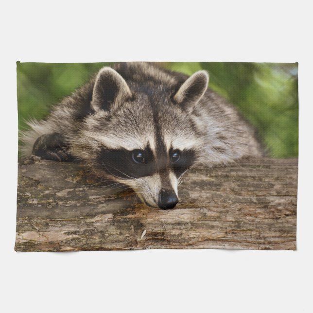 Linge De Cuisine Raccoon mignon reposant sur un journal (Horizontal)
