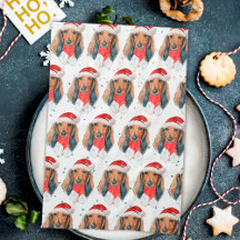 Race de chien Dachshund Noël