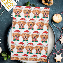 Race de chien Retriever doré Noël