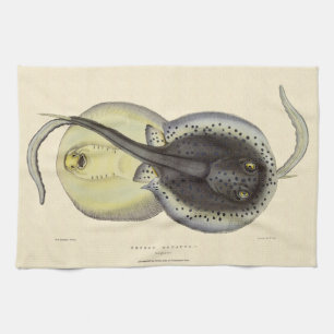 Linge De Cuisine Raies pastenagues tachetées, animaux marins vintag
