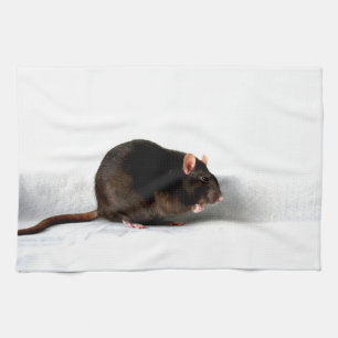 Linge De Cuisine Rat ktcn