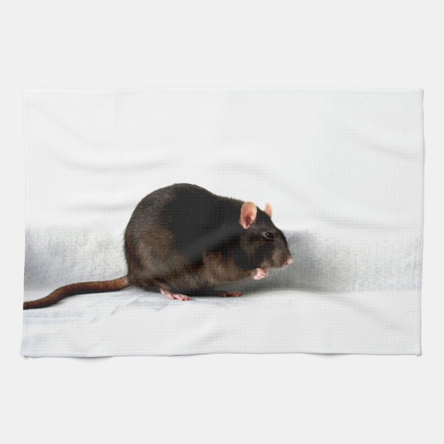 Linge De Cuisine Rat ktcnm (Horizontal)