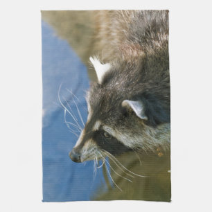 Linge De Cuisine Raton laveur