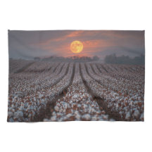 Récolte de champ de coton sous la lune - Décor de 