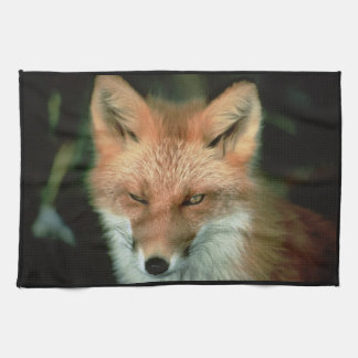 LINGE DE CUISINE RENARD