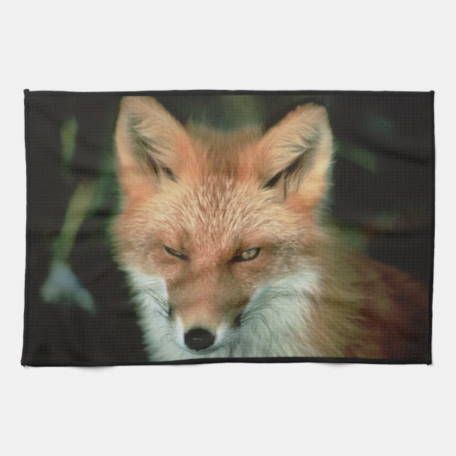 LINGE DE CUISINE RENARD (Horizontal)
