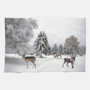 Linge De Cuisine Rennes en neige