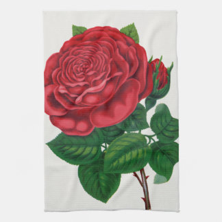 Linge De Cuisine Rose Print Rochester Lithographing and Printing Co