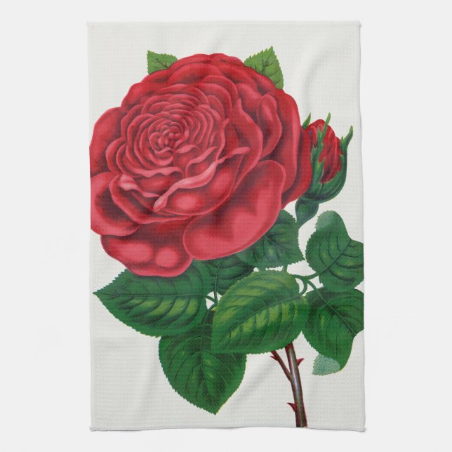 Linge De Cuisine Rose Print Rochester Lithographing and Printing Co (Vertical)