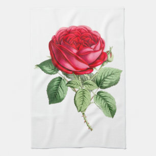 Linge De Cuisine Rose rouge antique simple