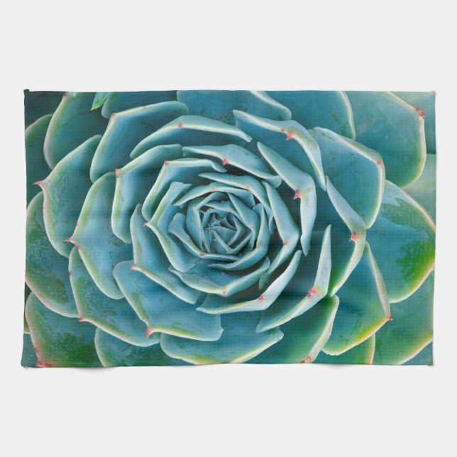 Linge De Cuisine Rosette d'Echeveria, Jardin Secret de Marrakech (Horizontal)