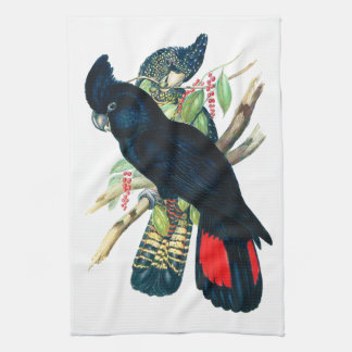 Linge De Cuisine Rouge coupé la queue, Cockatoos. noirs (de