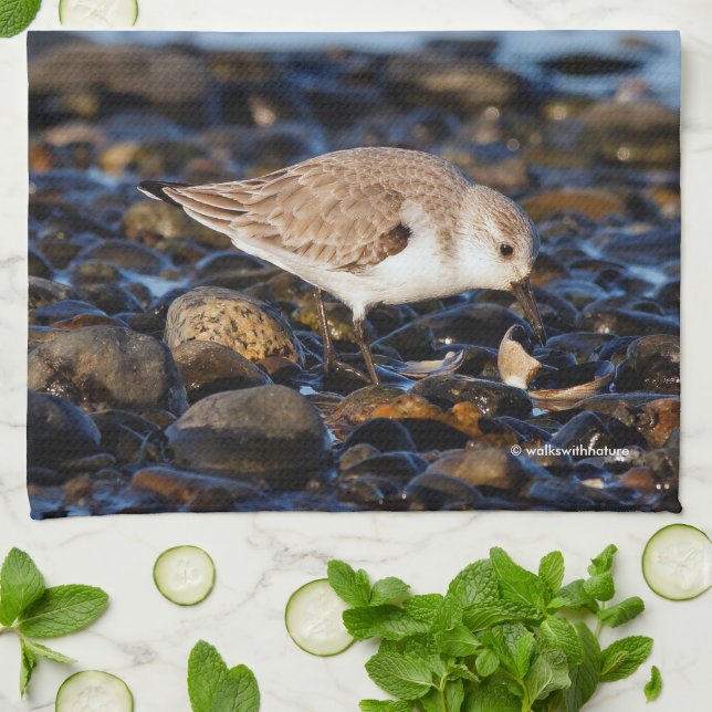 Linge De Cuisine Sanderling Dines sur Clam à la plage (Plié)