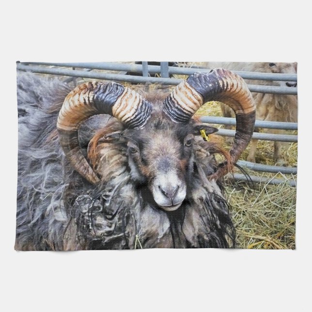 LINGE DE CUISINE SHEEP (Horizontal)