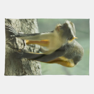 Linge De Cuisine Singe