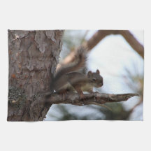 Squirrel in a Pine Tree Towel