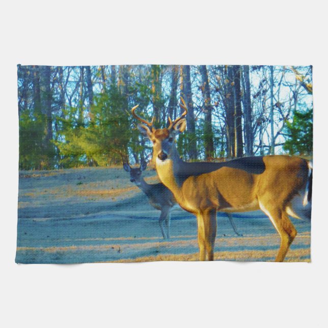 Linge De Cuisine Stade / Buck Deer, Ciel bleu clair (Horizontal)