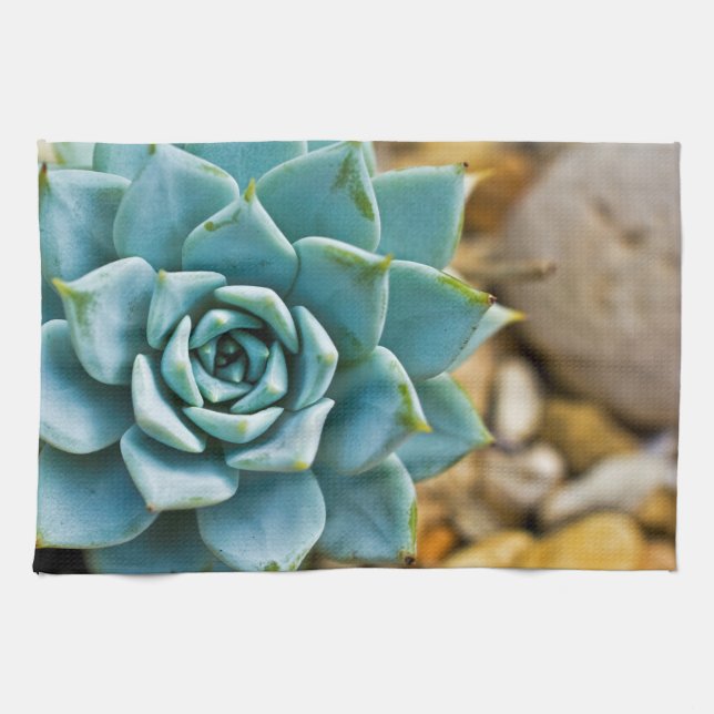 Linge De Cuisine Succulent (Horizontal)
