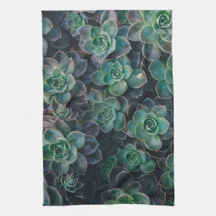 Linge De Cuisine Succulent jardin plat plante