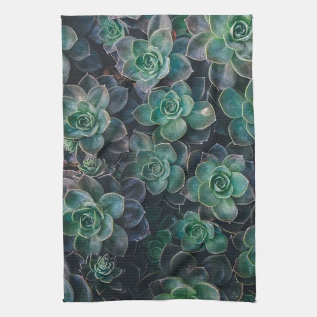 Linge De Cuisine Succulent jardin plat plante (Vertical)