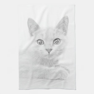 Linge De Cuisine SUPER CUTE Kitten Portrait Photographie