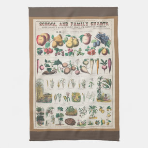 Linge De Cuisine Tableau vintage de l'enseignement botanique scolai