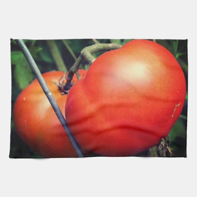 Linge De Cuisine Tomates Rouge Ripe Garden Sur La Vigne (Horizontal)