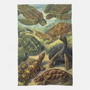 Linge De Cuisine Tortues vintages et tortues de mer par Ernst Haeck