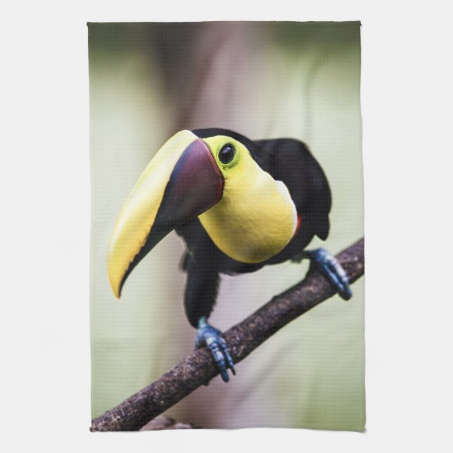 Linge De Cuisine Toucan du Costa Rica (Vertical)