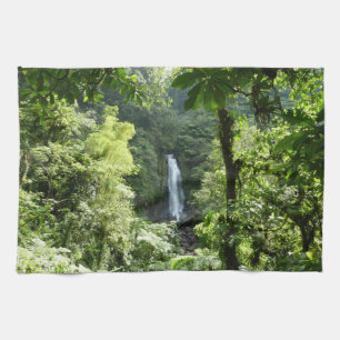 Linge De Cuisine Trafalgar Falls Tropical Rainforest Photographie