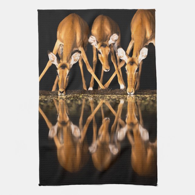 Linge De Cuisine Trois impalas boivent ensemble la nuit (Vertical)