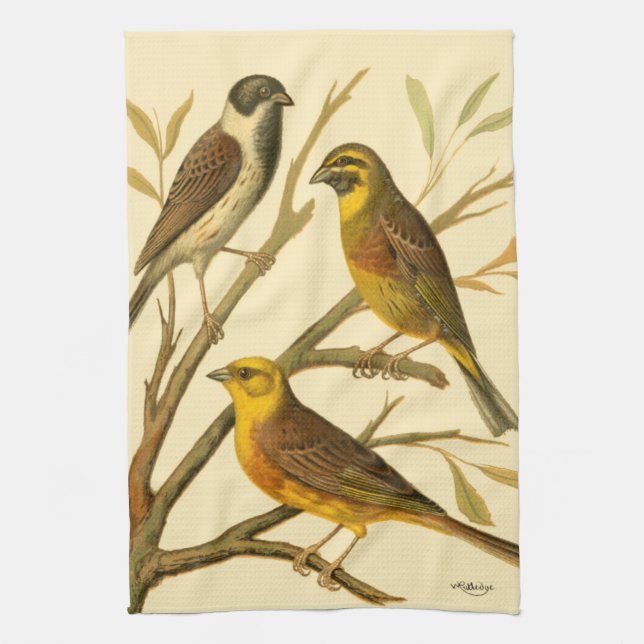 Linge De Cuisine Trois oiseaux domestiques perchés sur une branche (Vertical)