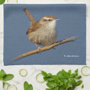 Linge De Cuisine Un curieux Wren de Bewick's Wren dans l'arbre