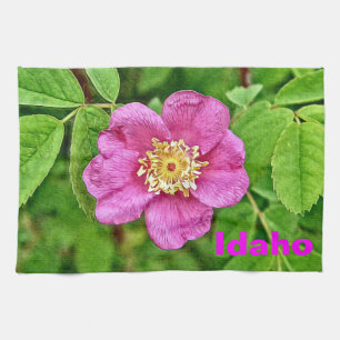 Linge De Cuisine Un Rose sauvage - Idaho