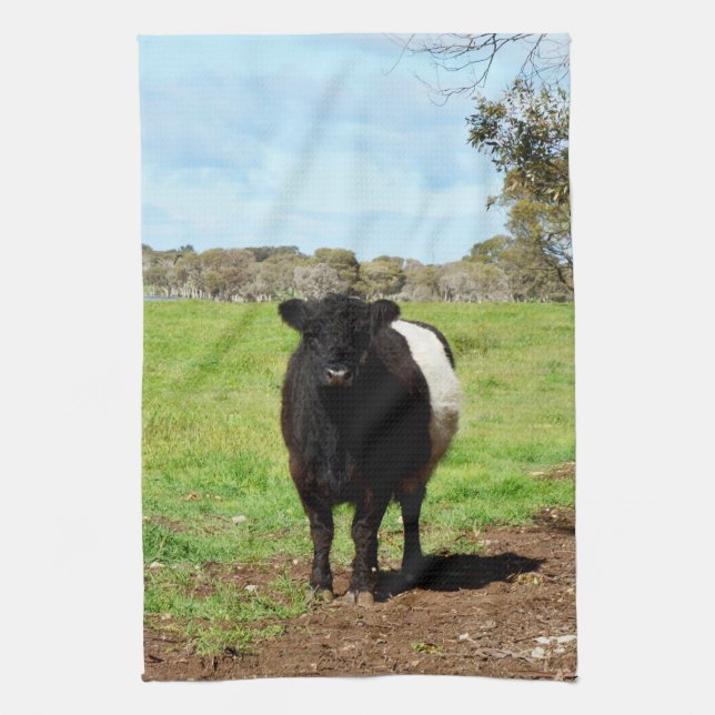Linge De Cuisine Vache Laine Noire Et Blanche Galloway, (Vertical)