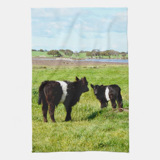Linge De Cuisine Vaches Galloway Bébé Dans Le Pays, (Vertical)