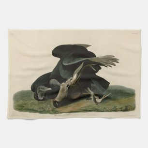 Linge De Cuisine Vautour noir, des oiseaux d'Amérique d'Audubon